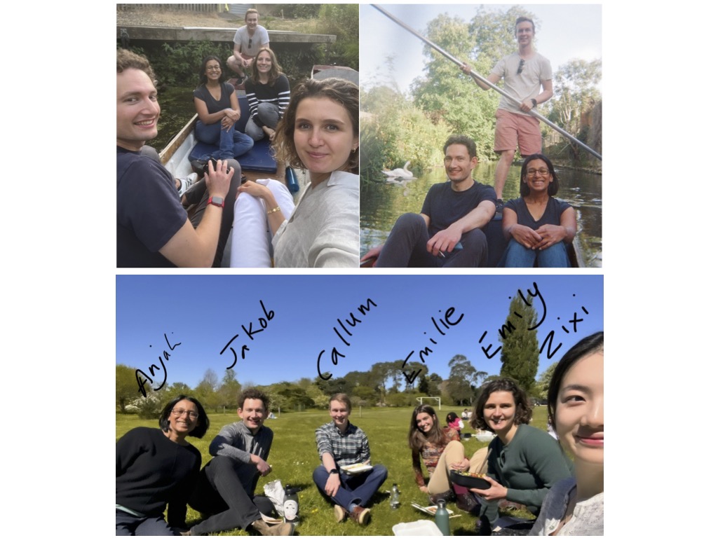 Team gallery